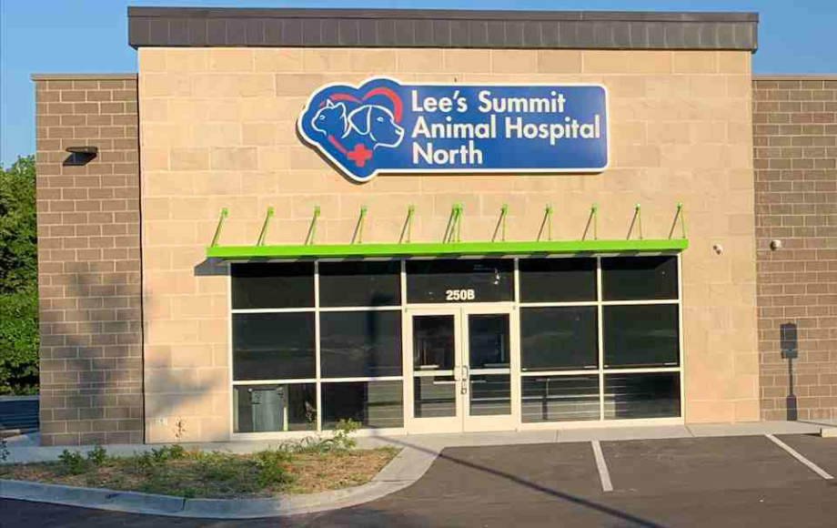 Animal Hospital in Lee's Summit, MO | Lee's Summit Animal Hospital North