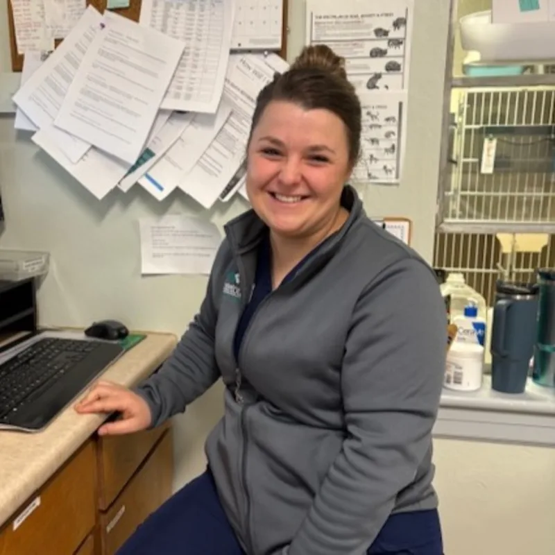 Haley, LVT Haley, LVT