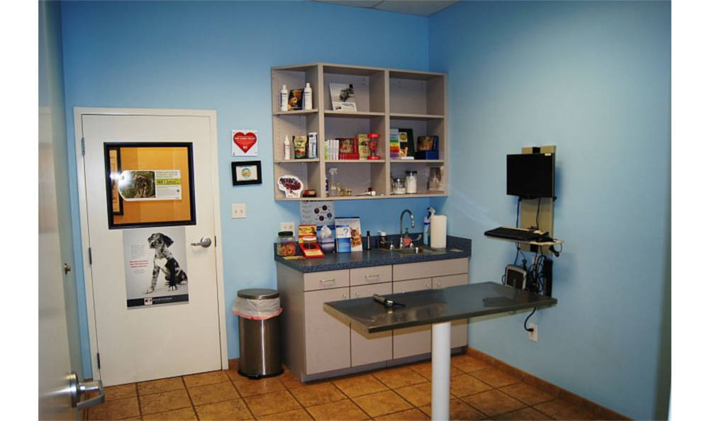 O'Connor Road Animal Hospital Exam Room