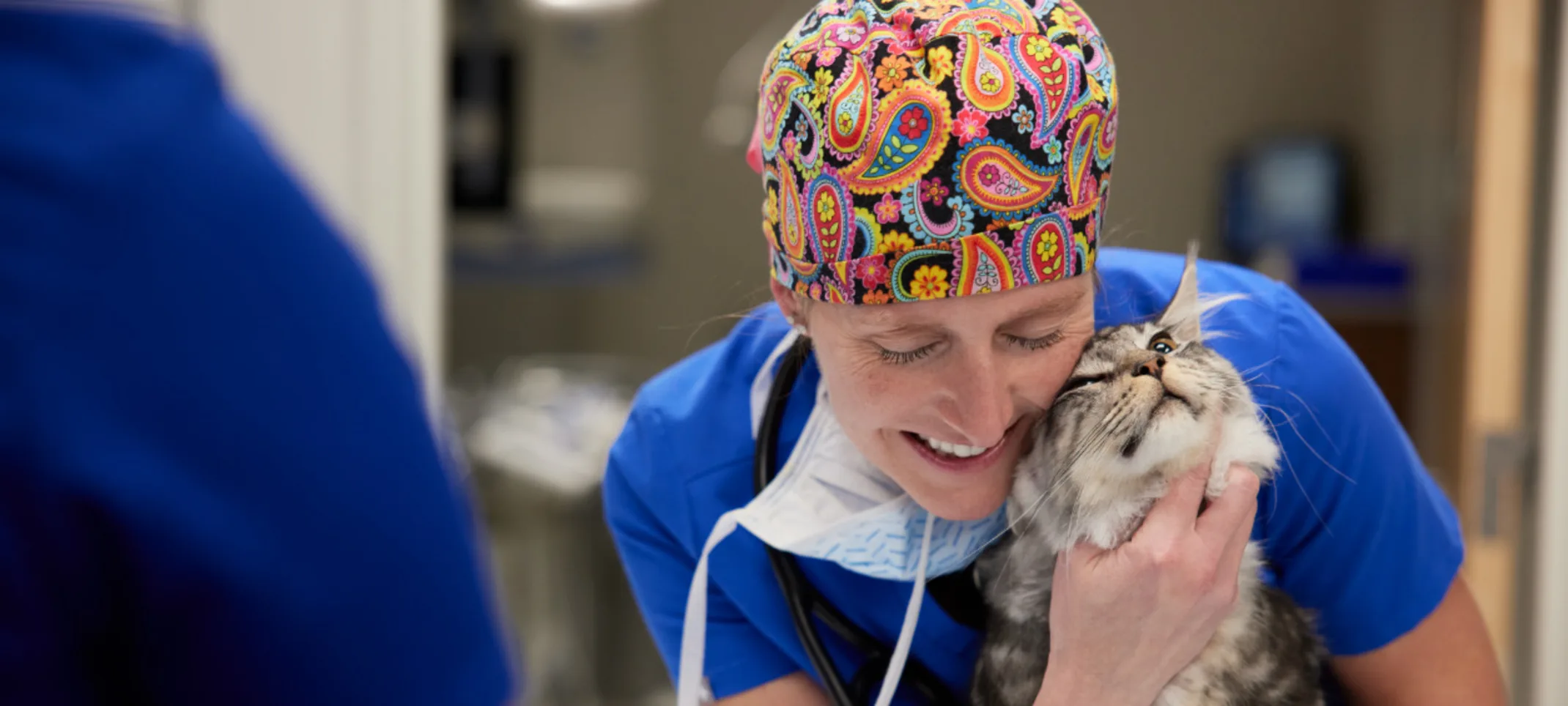 Veterinarian hugging cat Veterinarian hugging cat