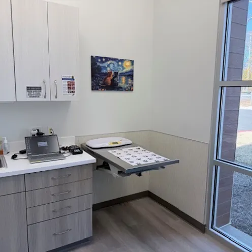 Cat Exam Room Cat Exam Room