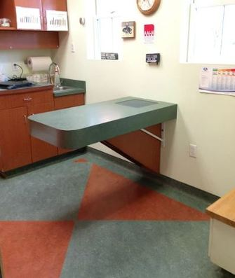 Exam Table