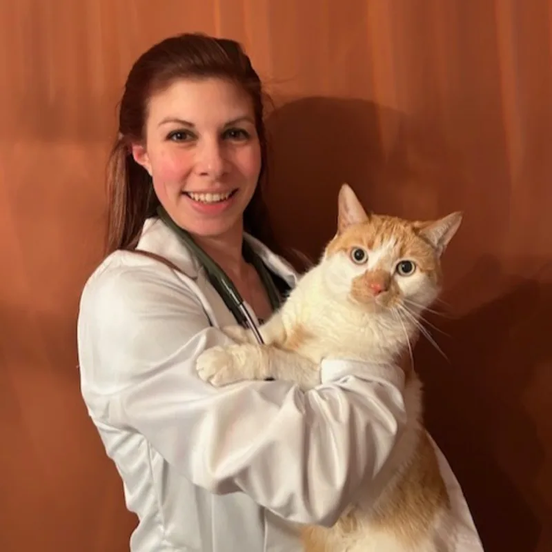 Dr. Kaitlyn Pontuti Dr. Kaitlyn Pontuti