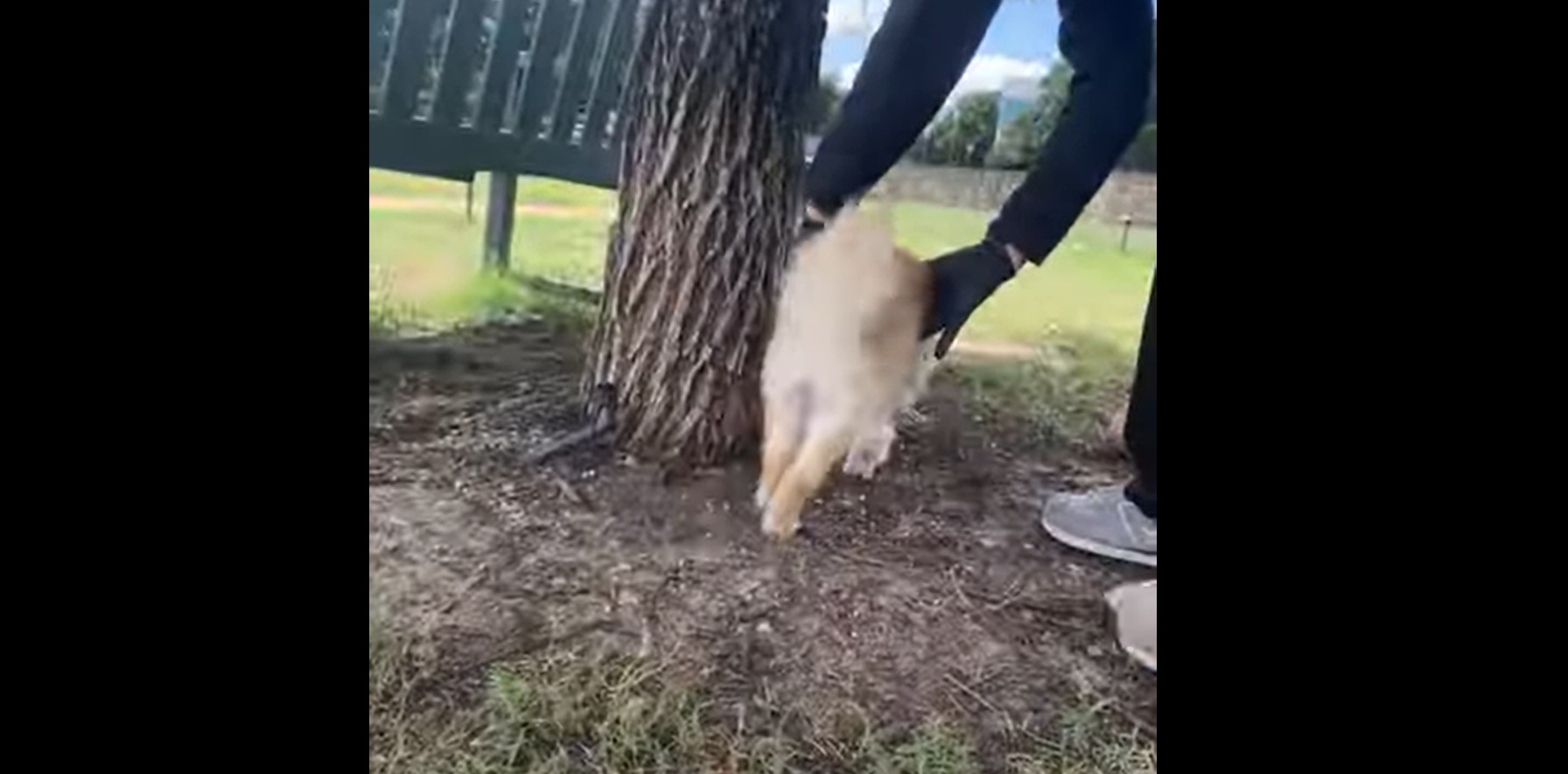 Skull Fracture 1 day post op