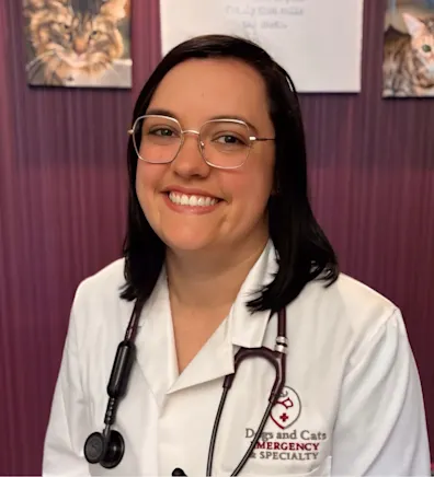 Dr. Wooleyhand Dr. Wooleyhand