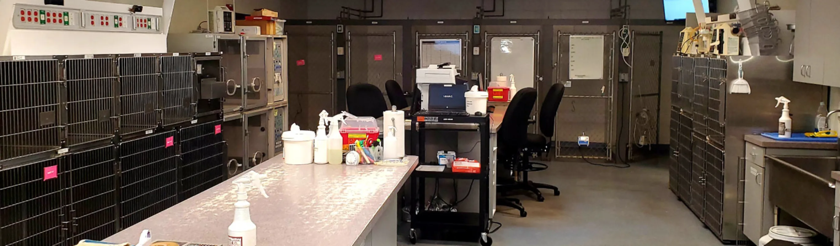 ER area at Westbridge Veterinary Referral Hospital ER area at Westbridge Veterinary Referral Hospital