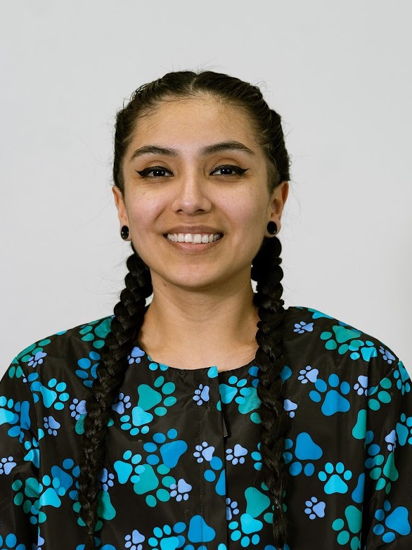 Daisy Anaheim Hills Pet Clinic