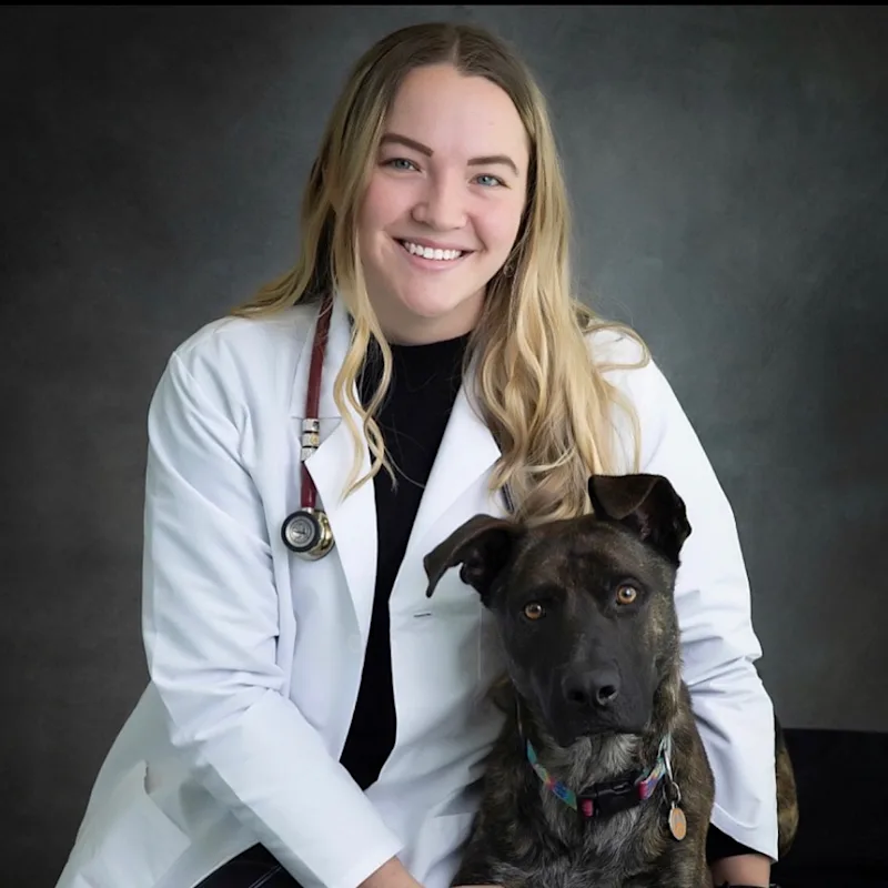 Dr. Rachael Stedman Dr. Rachael Stedman