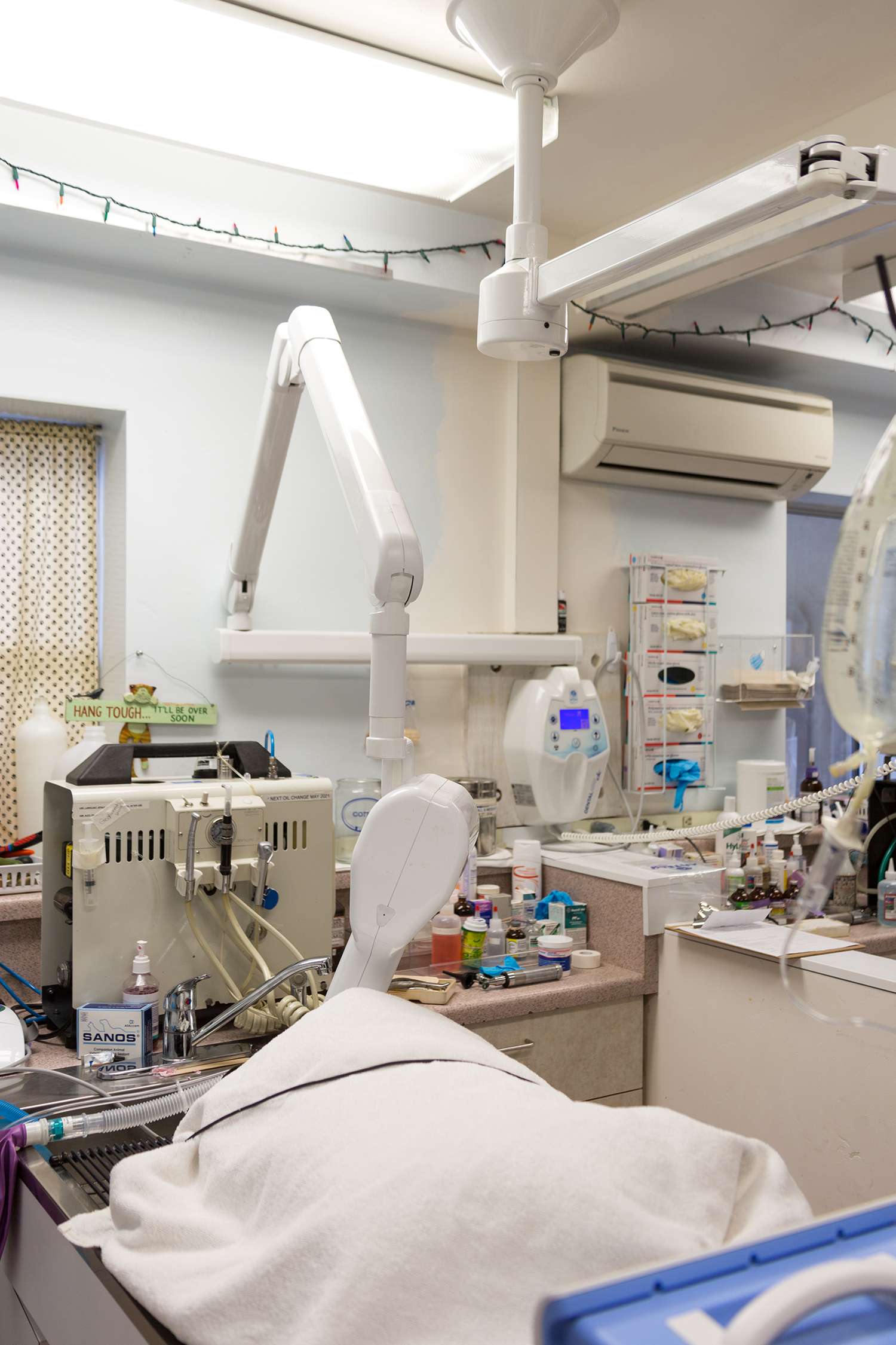 Dental room at White's Pet Hospital