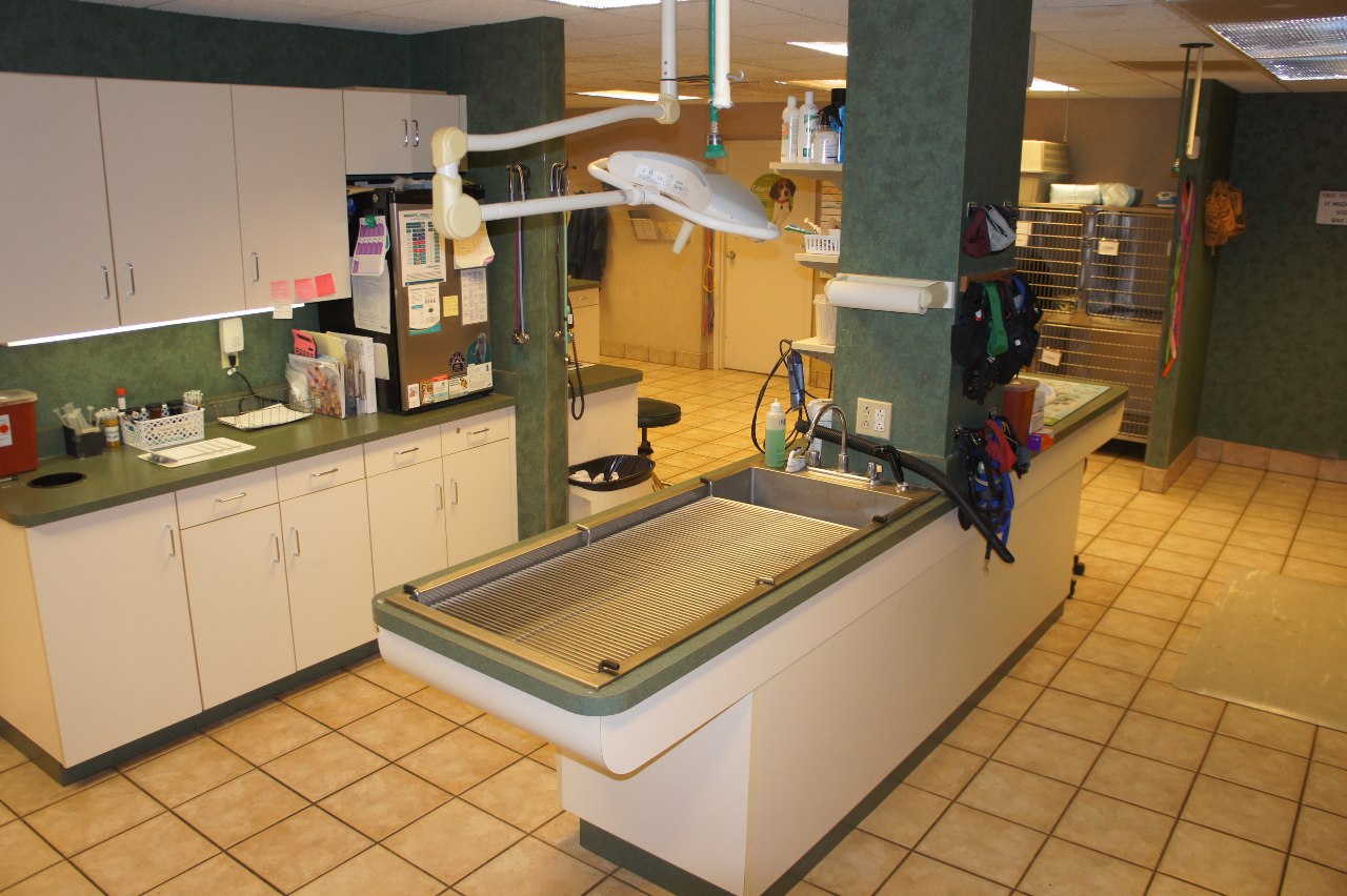 Surgery patient prep