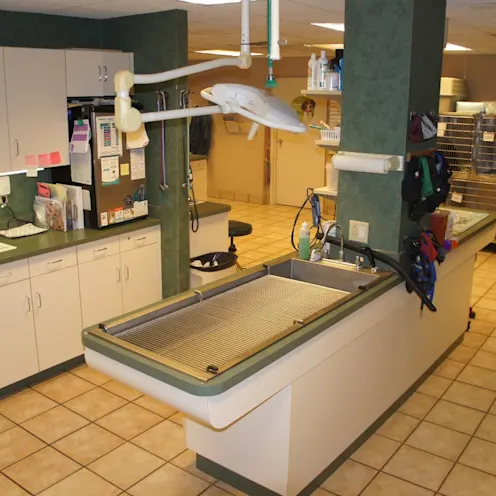 Surgery patient prep Surgery patient prep