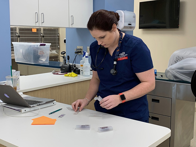 Veterinarian Working at Veterinary Specialists of Birmingham