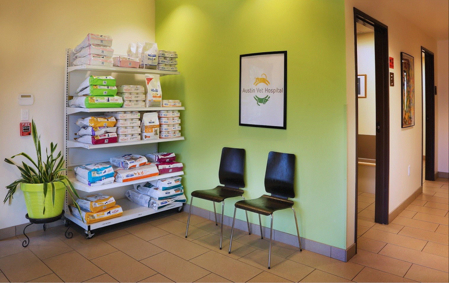 Austin Vet Hospital Merchandise Room