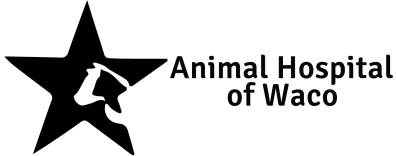 Animal Hospital of Waco Logo