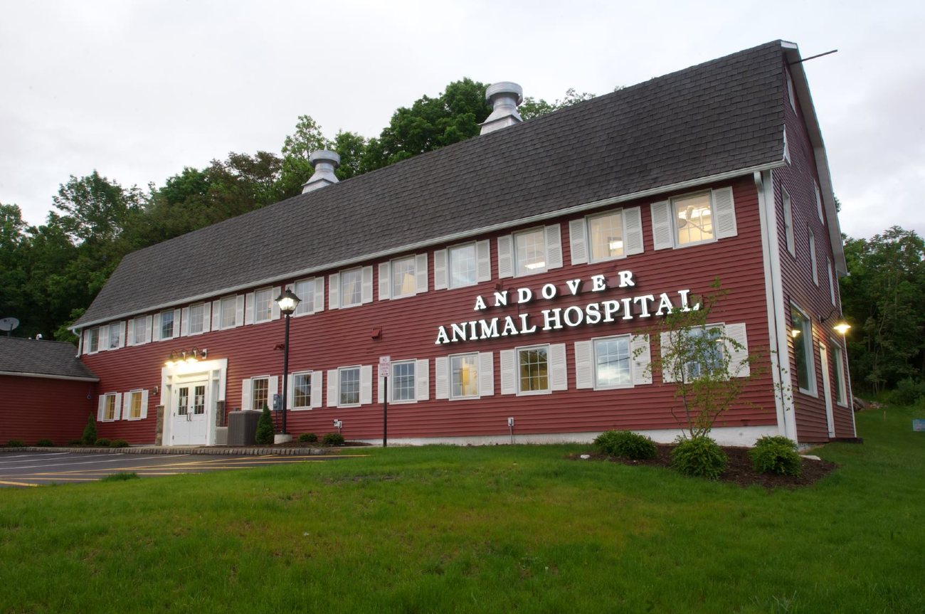 Veterinary Care in Newton, NJ | Andover Animal Hospital