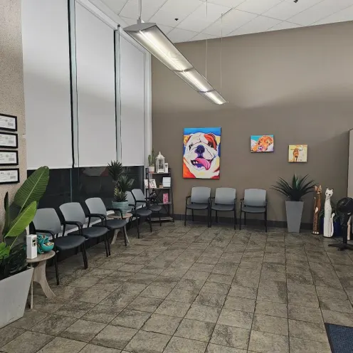 Fresno Veterinary Specialty & Emergency Center's reception area.
