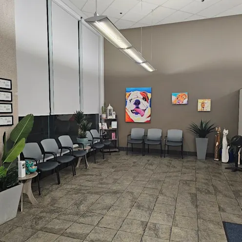 Fresno Veterinary Specialty & Emergency Center's reception area. Fresno Veterinary Specialty & Emergency Center's reception area.