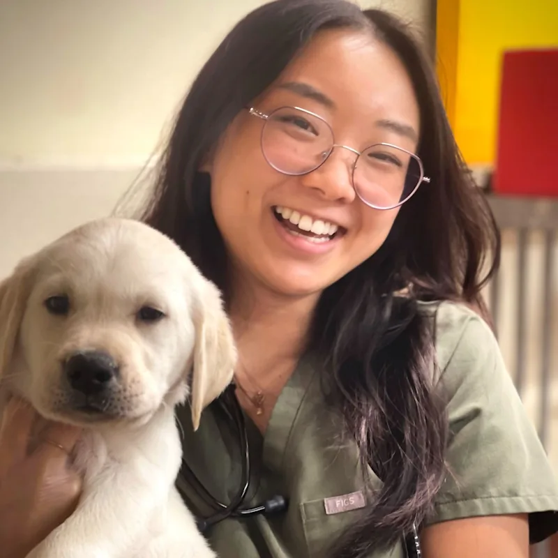 Dr. Angela Xie Dr. Angela Xie