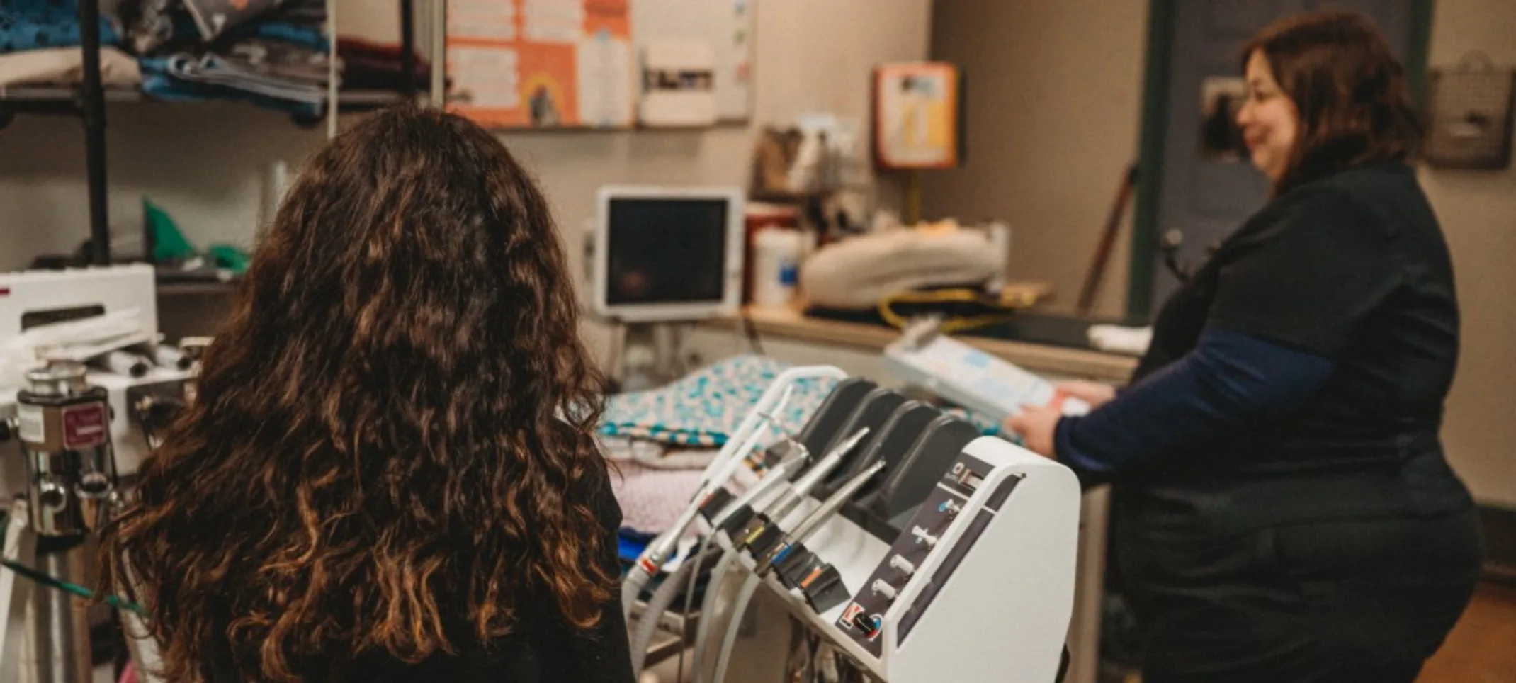 A Greywolf Veterinary Hospital staff member using dentistry equipment A Greywolf Veterinary Hospital staff member using dentistry equipment