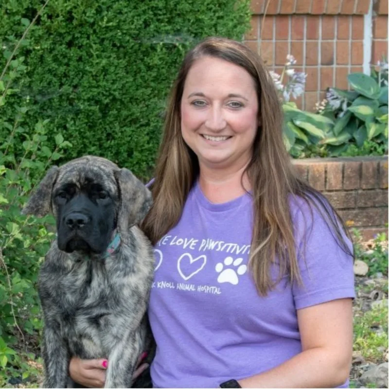 Ashley Hollis Ashley Hollis