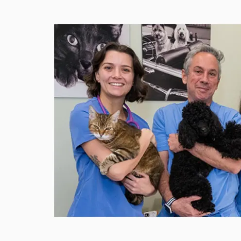 Group photo of staff at Battery Park Veterinary Hospital