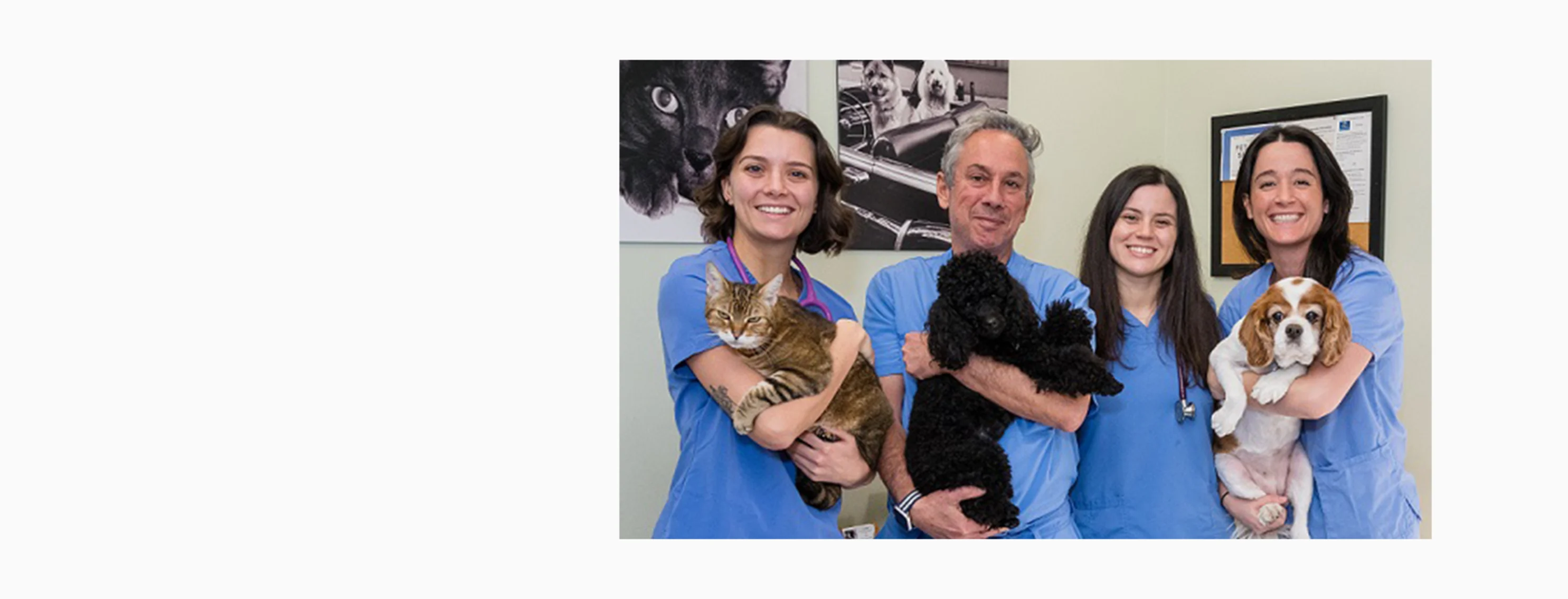 Group photo of staff at Battery Park Veterinary Hospital