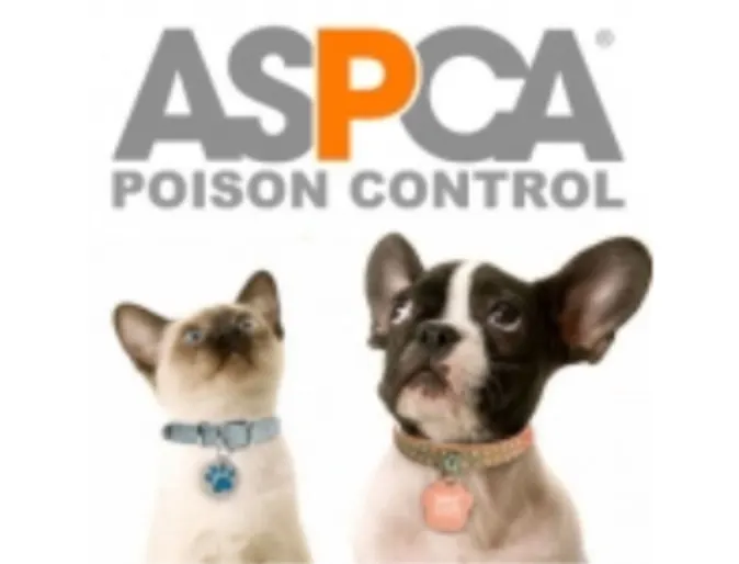 Pet Emergency Resources Pet Emergency Resources