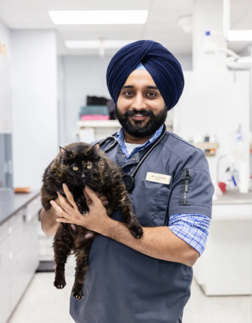 Dr. Chahal holding a large cat