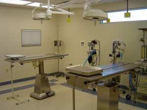 Small Animal Hospital Surgical Area and tables