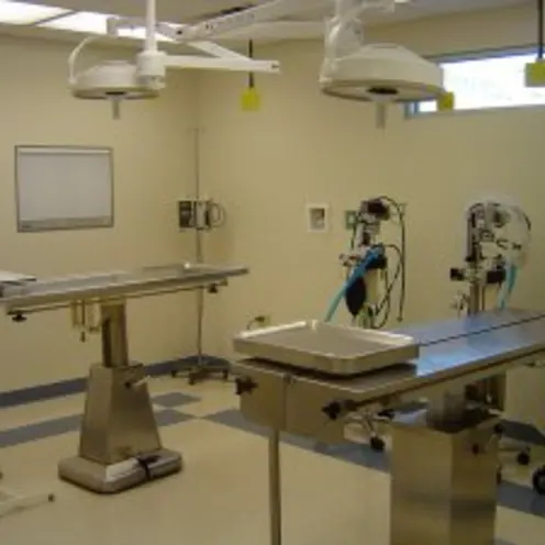 Small Animal Hospital Surgical Area and tables