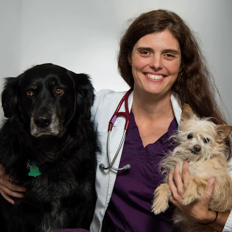 Dr. Stephanie Burbach with Two Dogs Dr. Stephanie Burbach with Two Dogs