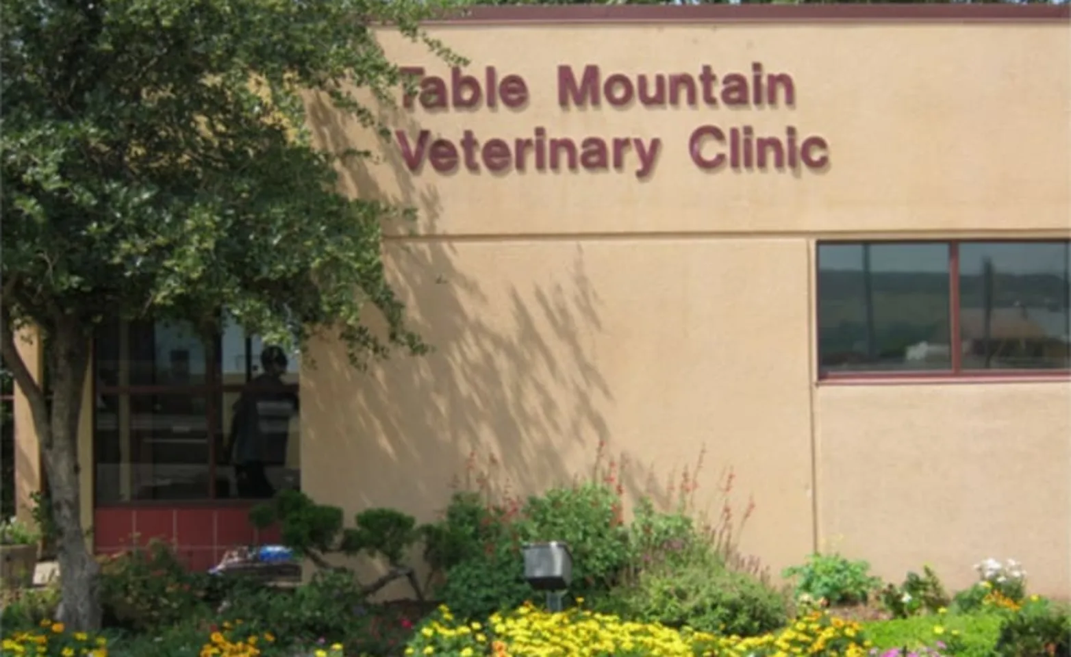 Table Mountain Veterinary Clinic Exterior