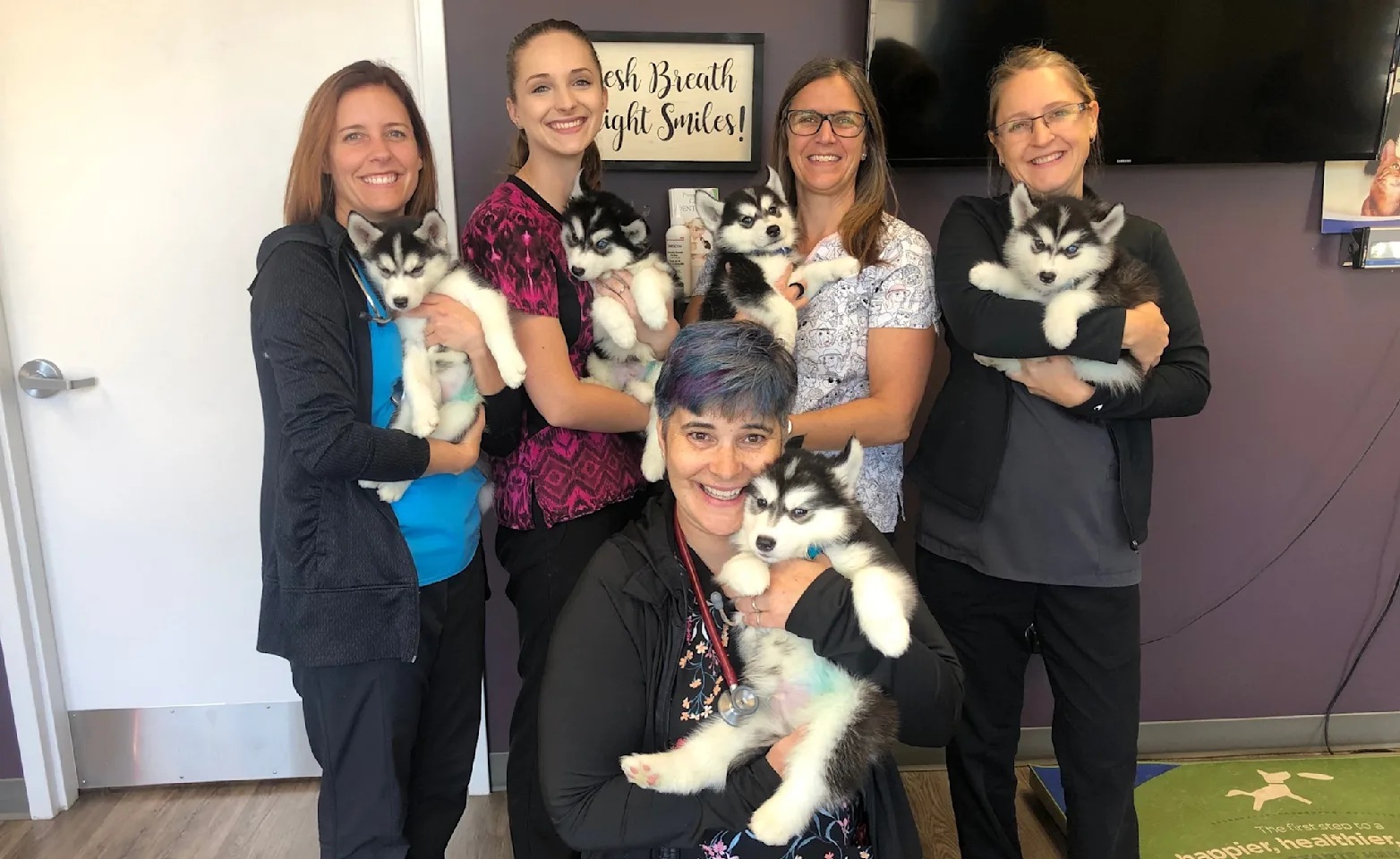 Island City Animal Hospital staff photo