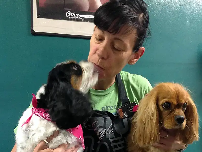 Groomer holding two dogs