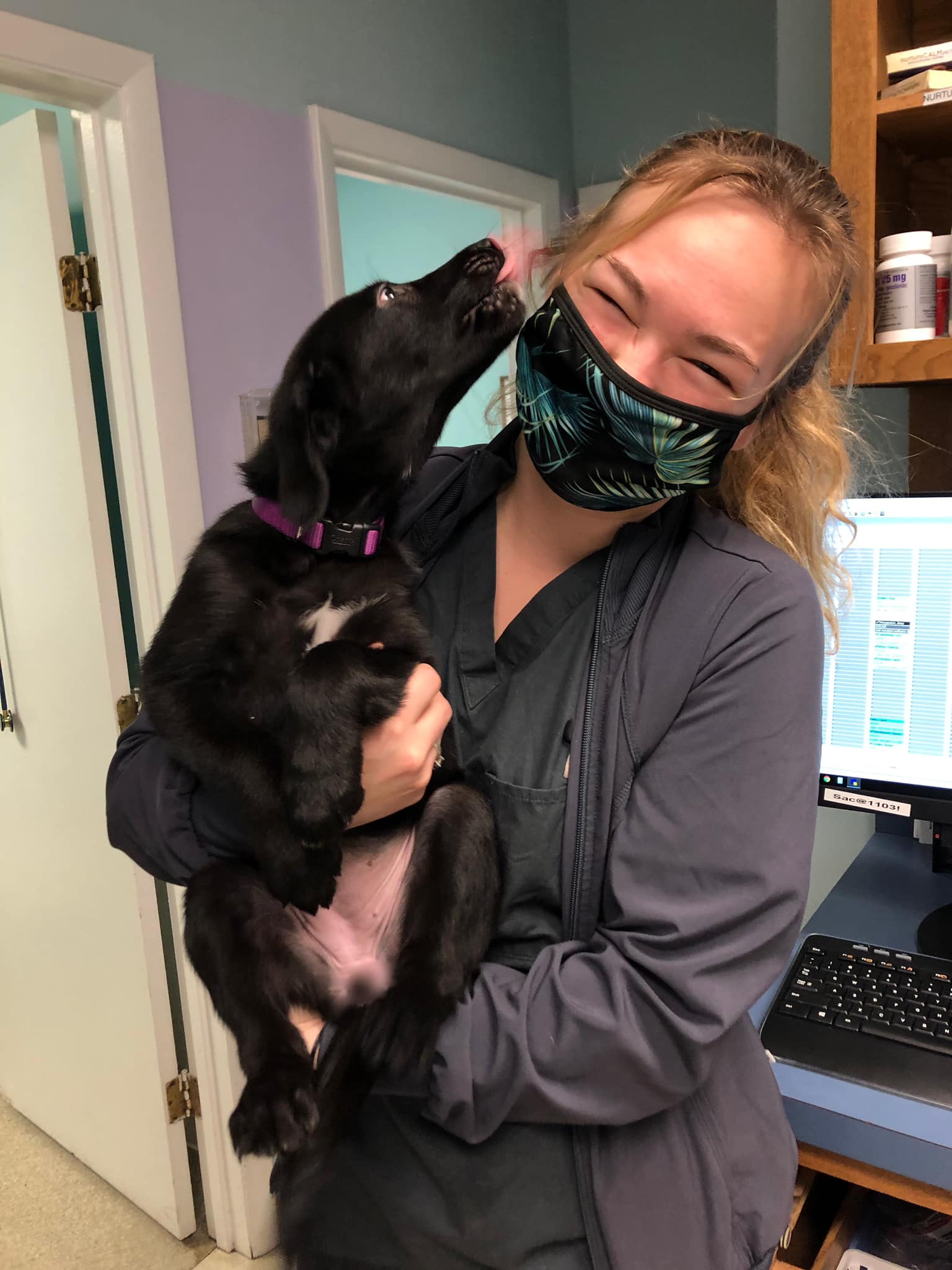 Liv and Puppy at Strawbridge Animal Care