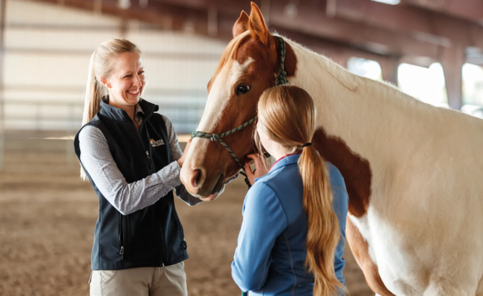 Two Veterinarians with a Horse