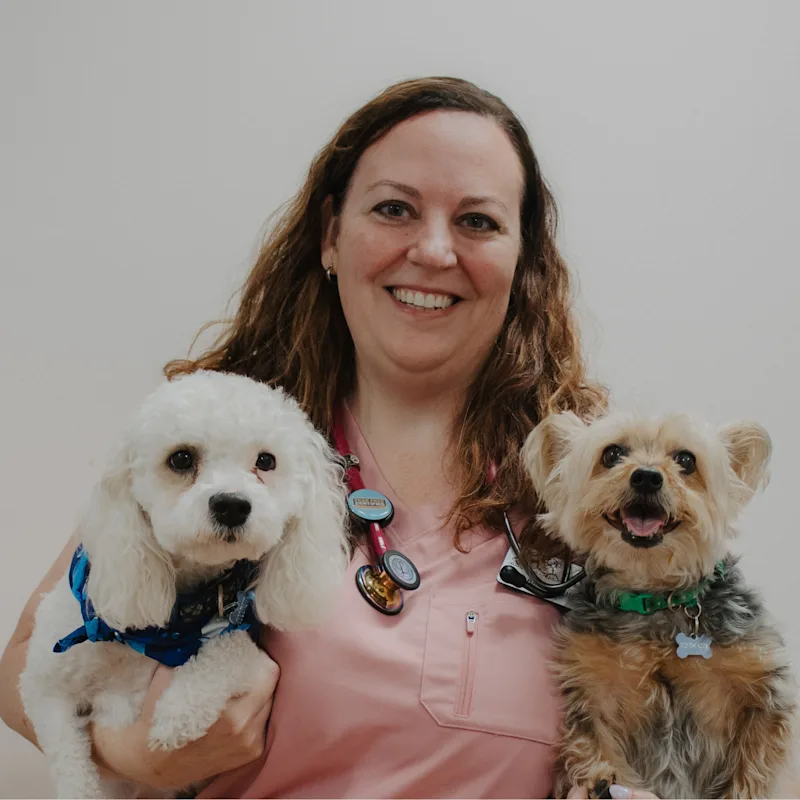 Underwood Animal Clinic 0439 - Dr. Amity Curry Underwood Animal Clinic 0439 - Dr. Amity Curry