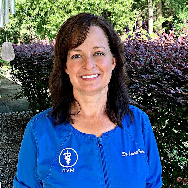 Dr. Carrie Taylor, a veterinarian at Town and Country Animal Hospital in Ocala, FL Dr. Carrie Taylor, a veterinarian at Town and Country Animal Hospital in Ocala, FL
