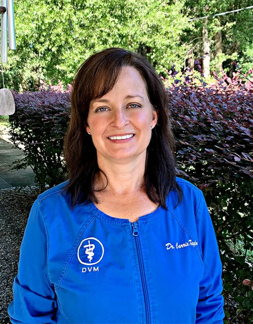 Dr. Carrie Taylor, a veterinarian at Town and Country Animal Hospital in Ocala, FL