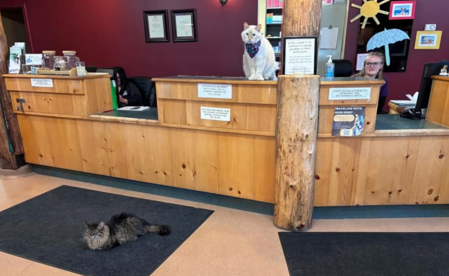 Receptionist desk Receptionist desk