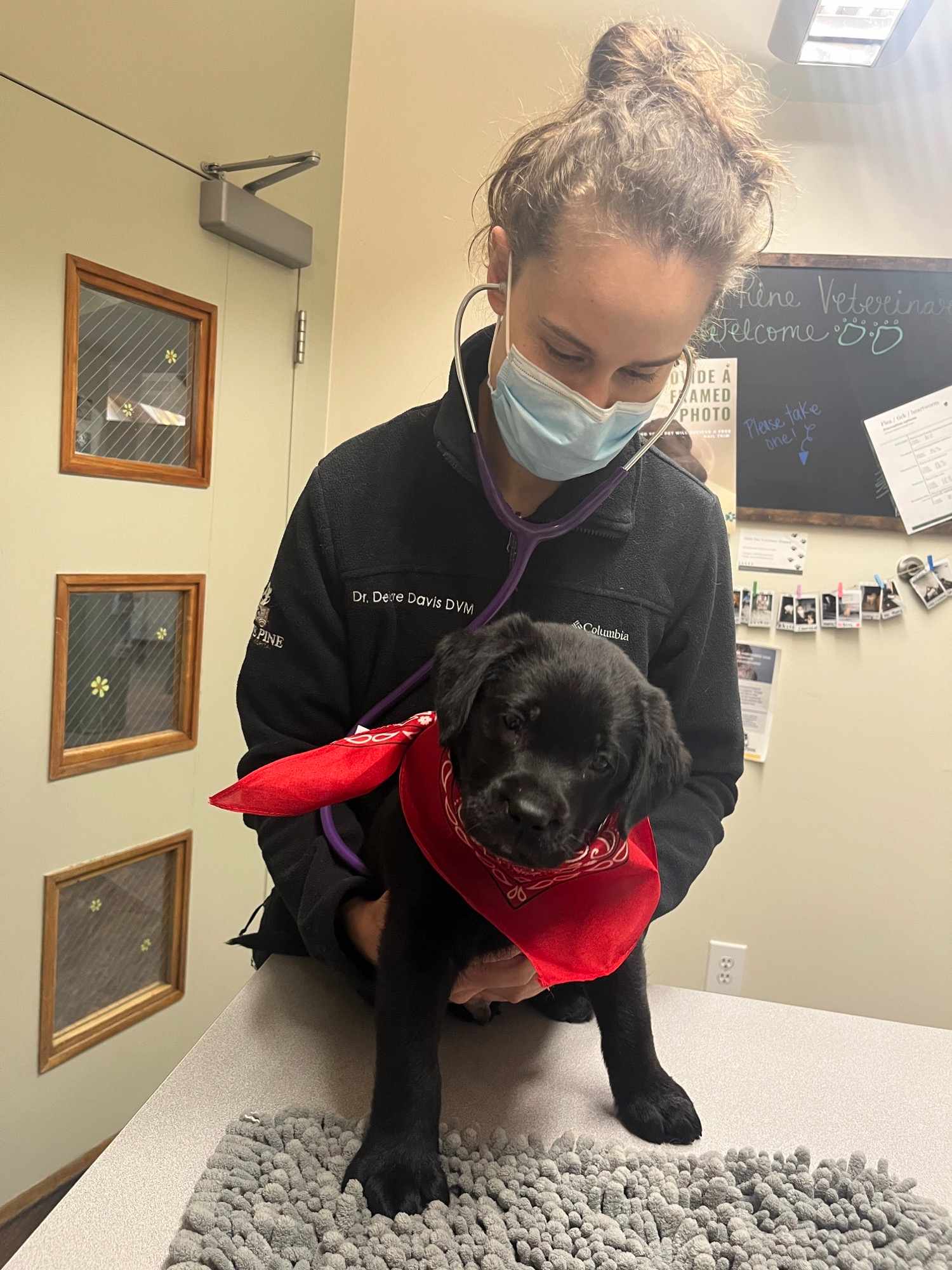Dr. Davis and a puppy wearing a red bandana.