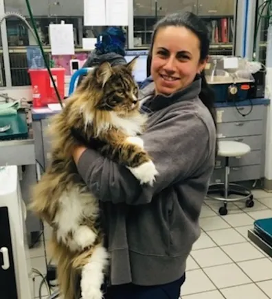 Jennifer Battiato Jennifer Battiato