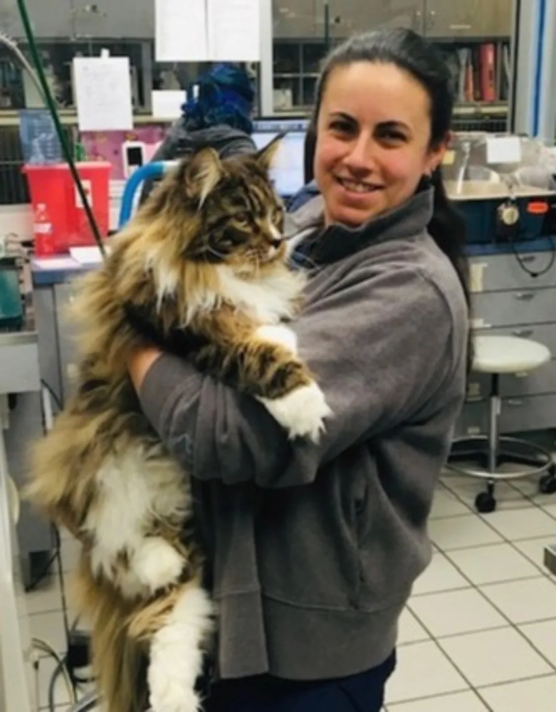 Jennifer Battiato Jennifer Battiato