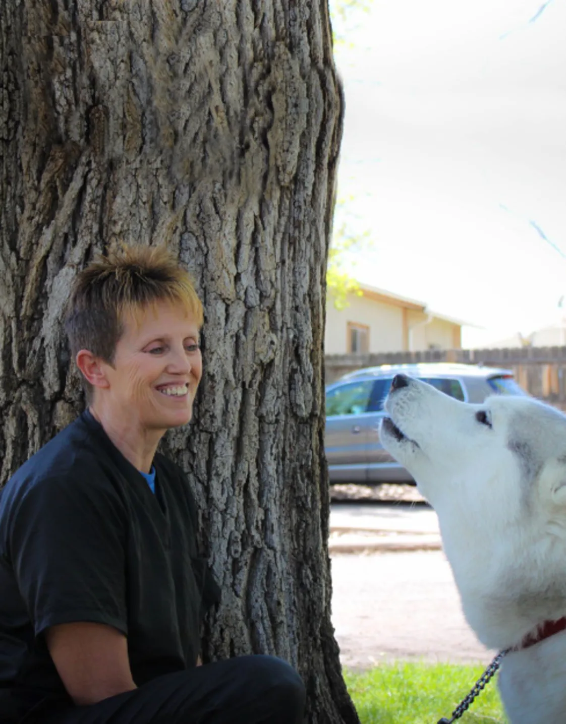 Dianne Roberts at Overland Animal Hospita Dianne Roberts at Overland Animal Hospita