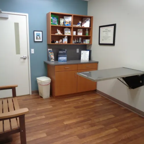 Lakeview Animal Hospital Exam Table