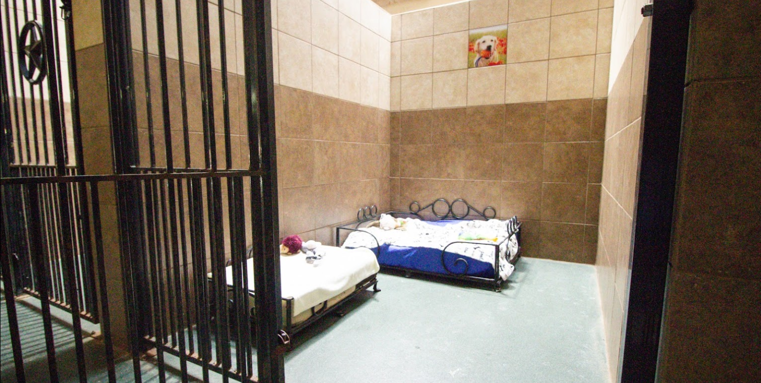 A Double Suite at Elite Suites Pet Resort 