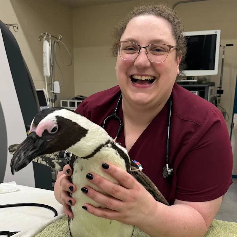 Dr. Bee O'Malley Dr. Bee O'Malley