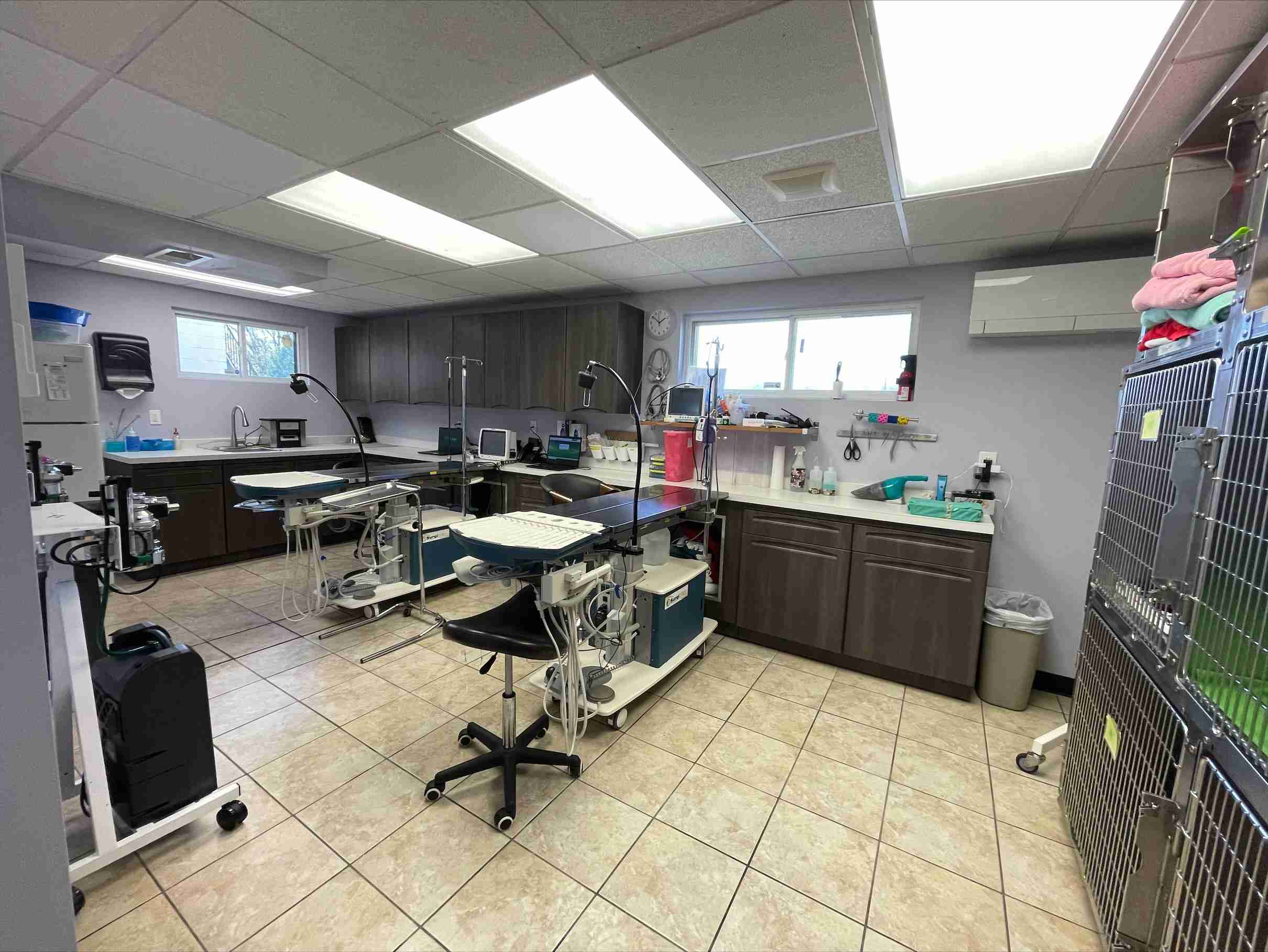 Perry Hall Animal Hospital dental suite
