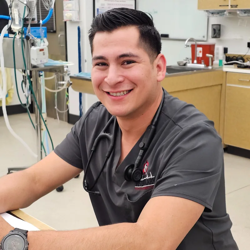 Randy Castanaza, DVM Randy Castanaza, DVM