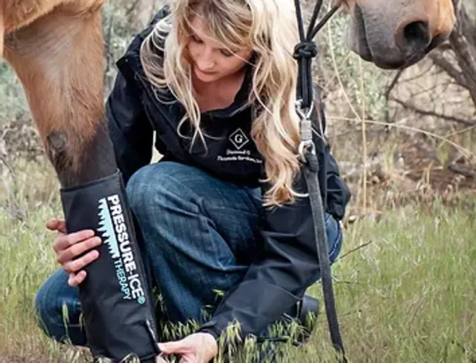 Woman holding horse's leg. Woman holding horse's leg.